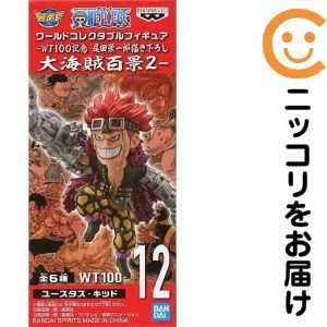 ワールドコレクタブルフィギュア-WT100記念 尾田栄一郎描き下ろし 大海賊百景2- -ユースタス・キッド-